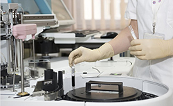 内江匿名亲子鉴定费用是多少钱